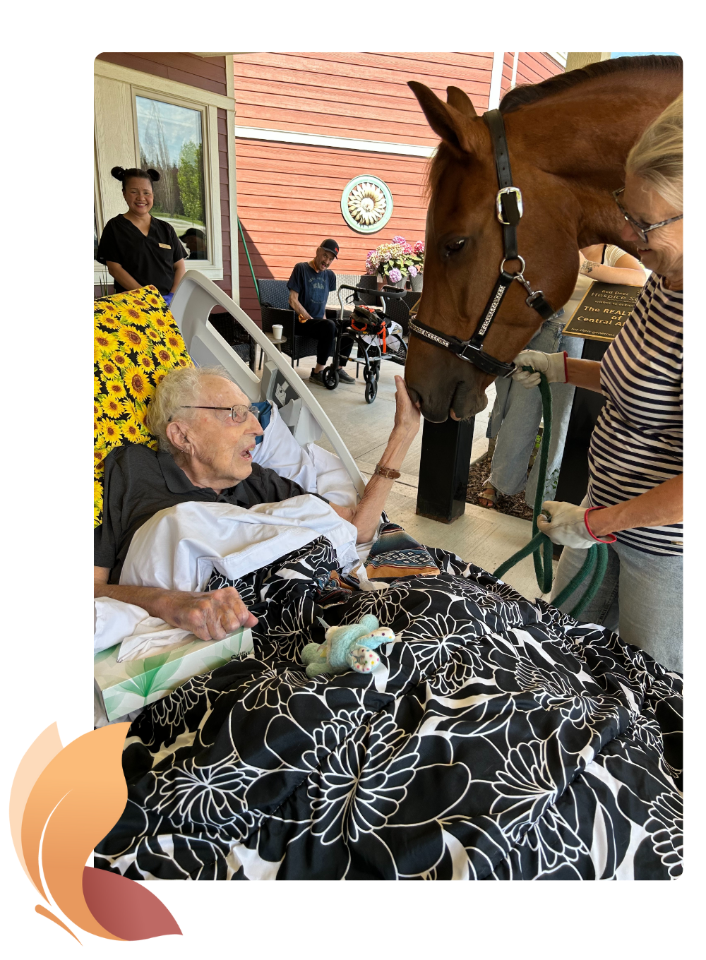 Resident in a bed pets a horses nose in a close up visit at Hospice